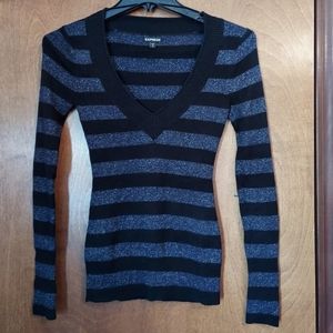 Express Striped Sweater